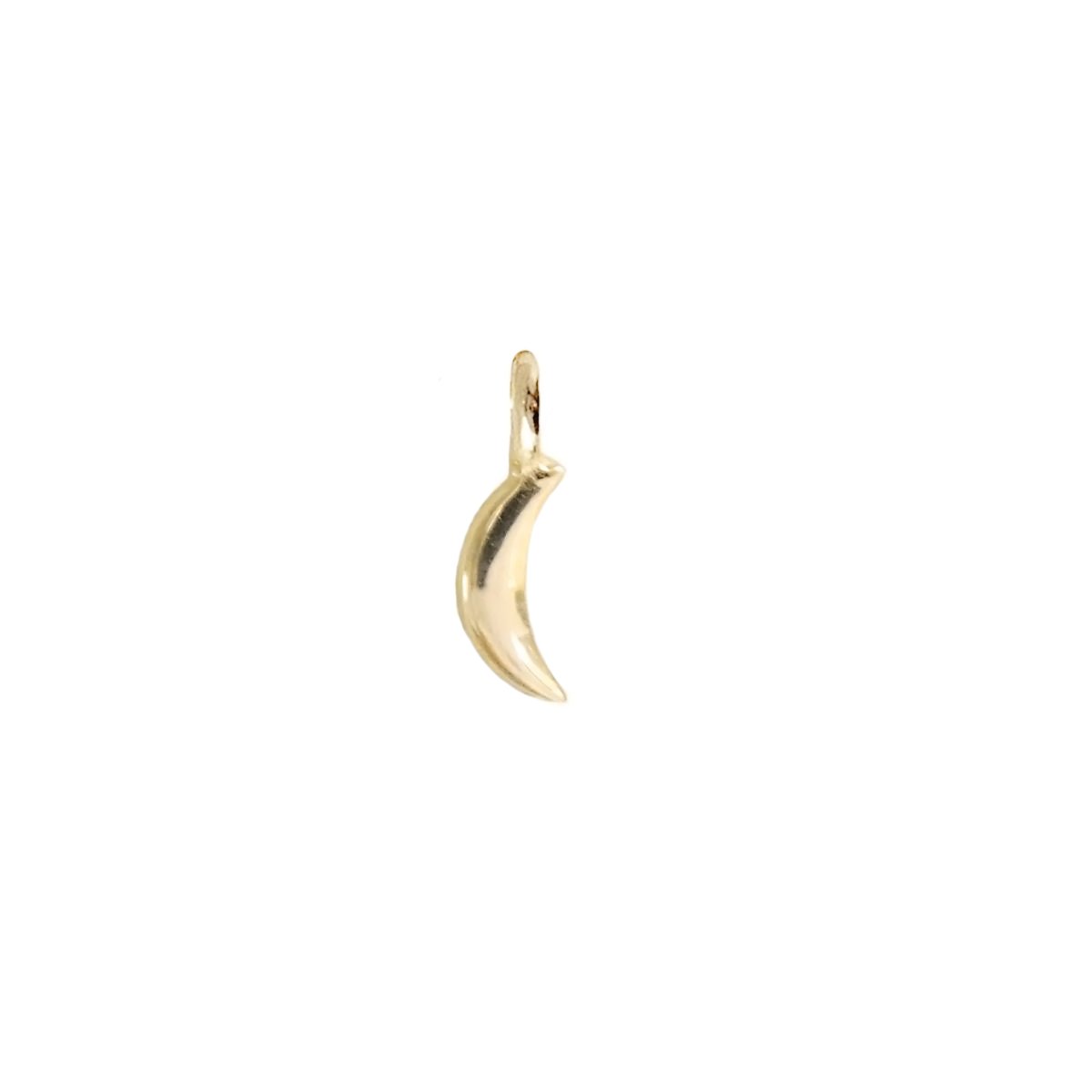 14K SOLID GOLD - DREAM LUNA NAMESAKE CHARM - SO PRETTY CARA COTTER