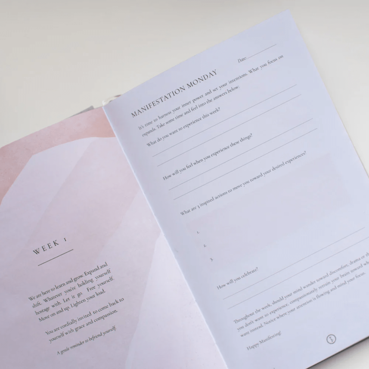 The Daily Joy Journal - SO PRETTY CARA COTTER