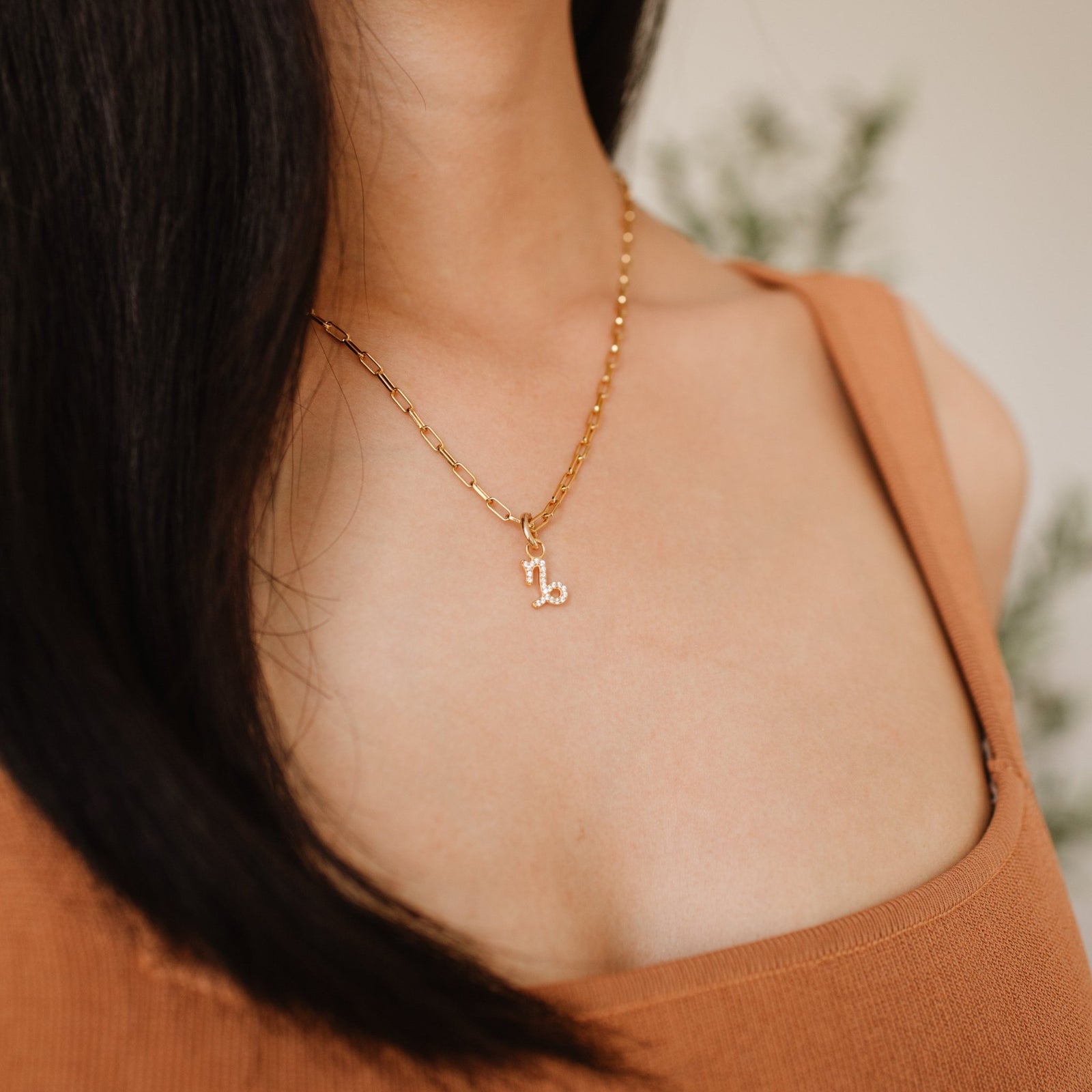 DREAM CAPRICORN CRYSTAL CHARM - SO PRETTY CARA COTTER