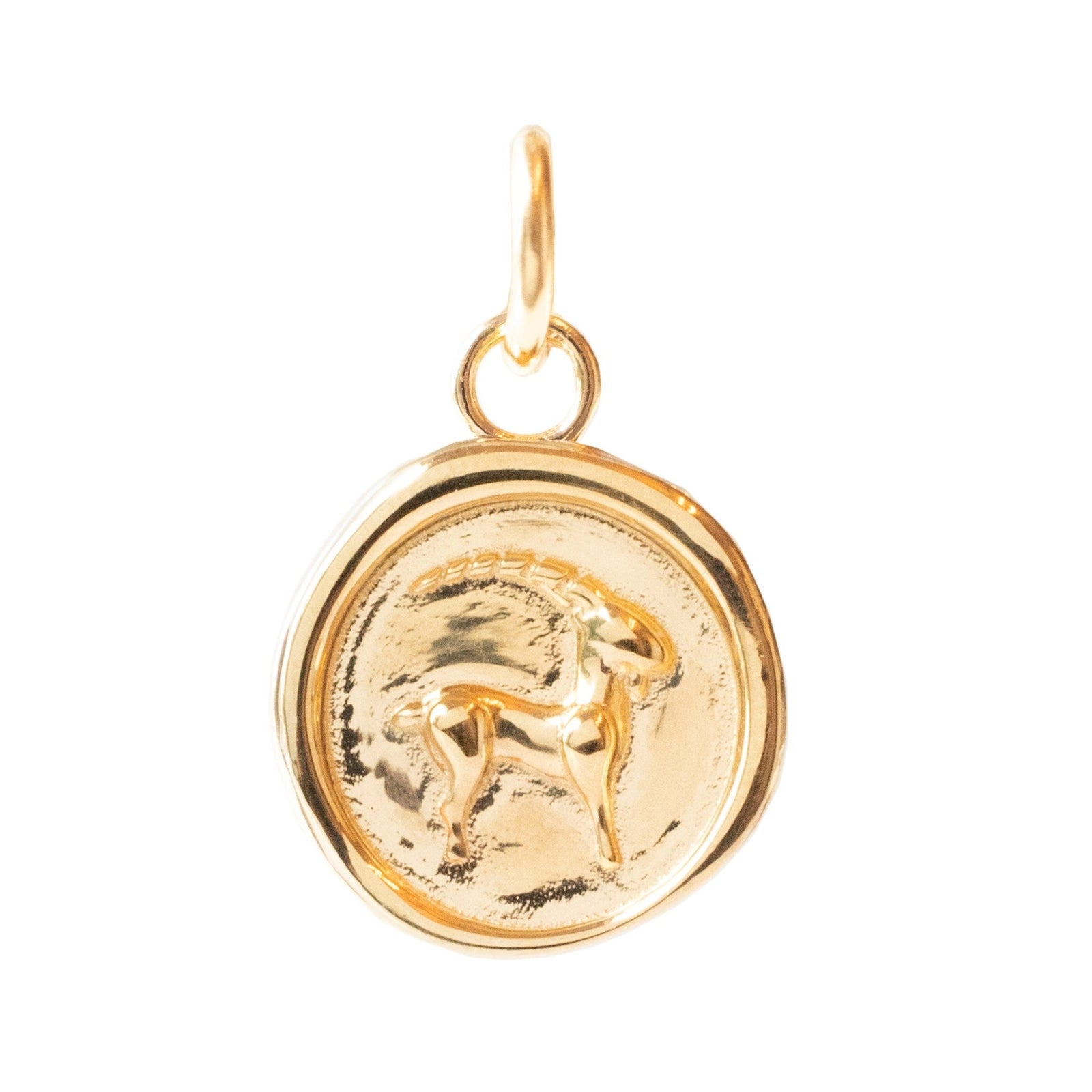 DREAM CAPRICORN MEDALLION - SO PRETTY CARA COTTER